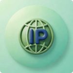 Online IP Address Checker
