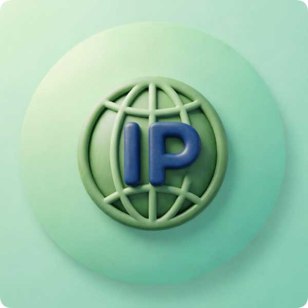 Online IP Address Checker | Instant Geolocation & ISP Lookup | PeppyTool