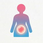 Online Fertility Ovulation Calculator